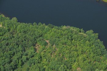 Property photo 43 - 1,025 Acres in 24 Tracts - Exellent Recreation Opportunity - Potential Building Sites - 11 Lakes & Ponds